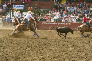 AQHA-PRCA Horses of the Year Announced