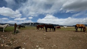 Valley of Horses