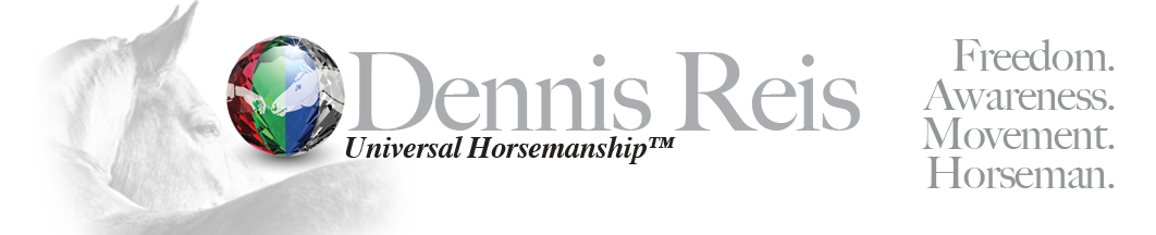 Dennis Reis logo banner